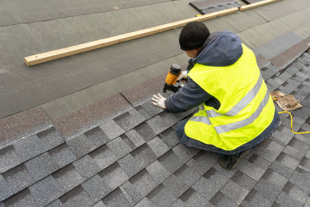 Best Roof Gutter Cleaning  in Pearl Beach, MI