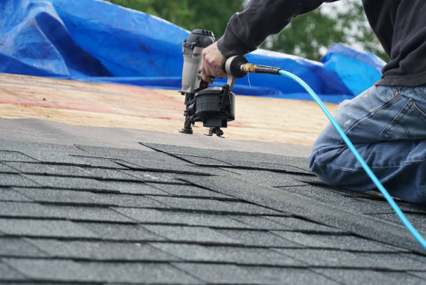 Best Metal Roofing Contractor  in Pearl Beach, MI